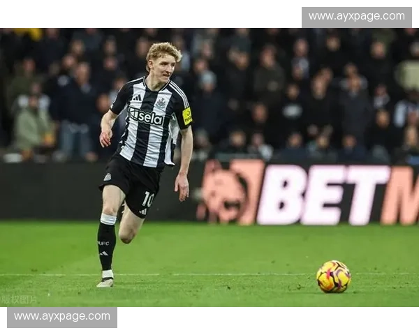 纽卡斯尔vs布伦特福德：维萨直面旧主考验防线默契
